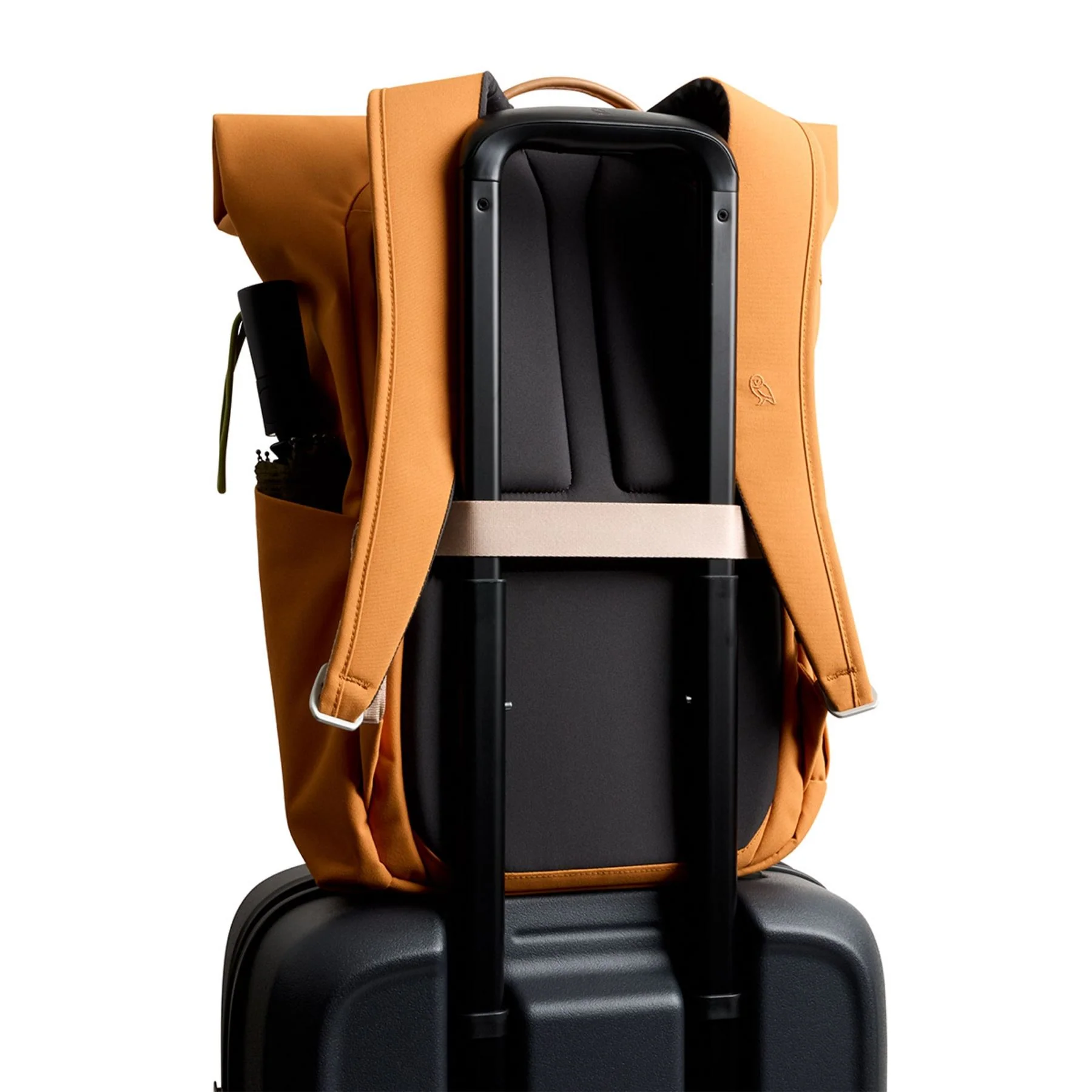 Bellroy Classic Rolltop Laptop Backpack - Image 4