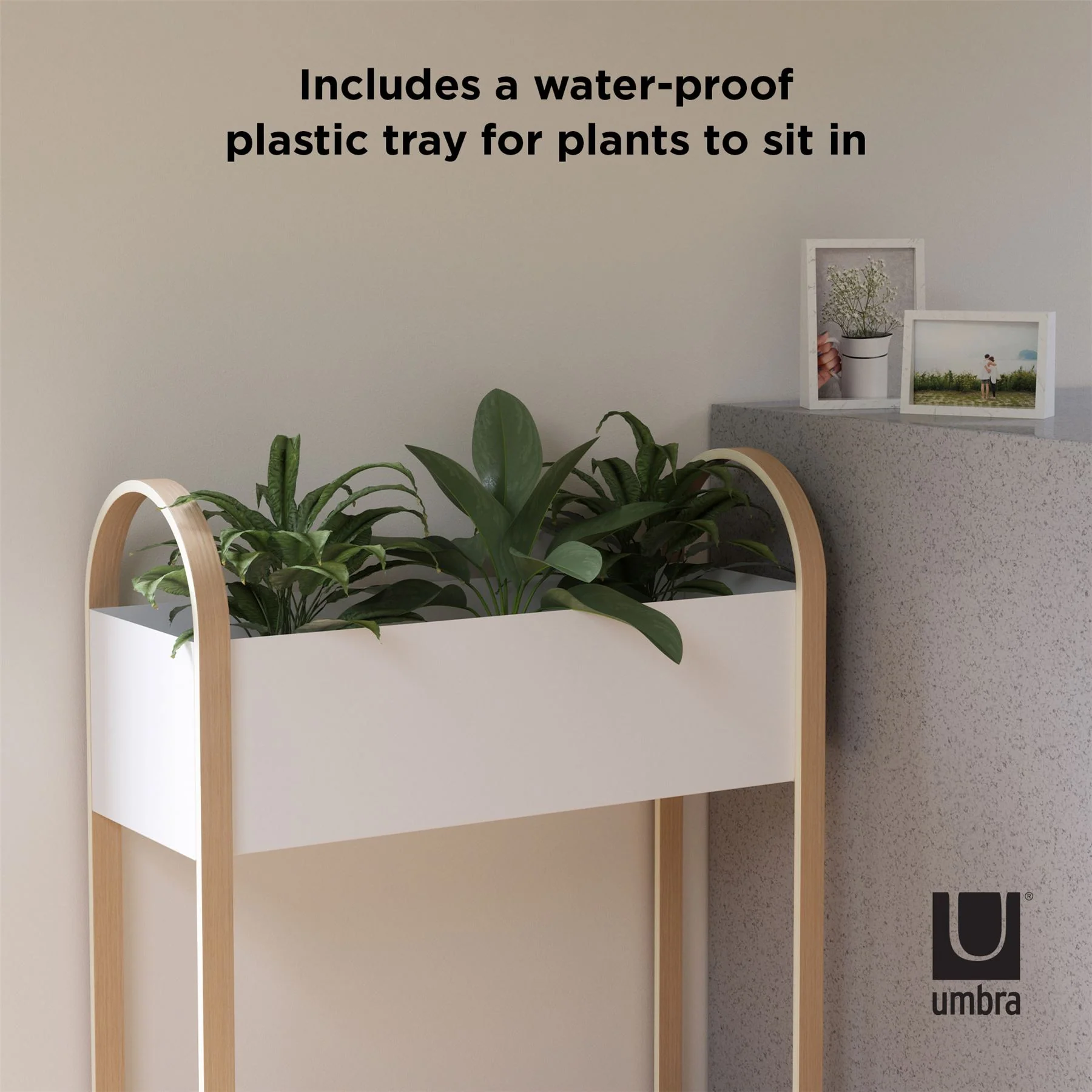 Umbra Bellwood Storage Box / Indoor Planter in White & Natural - Image 7