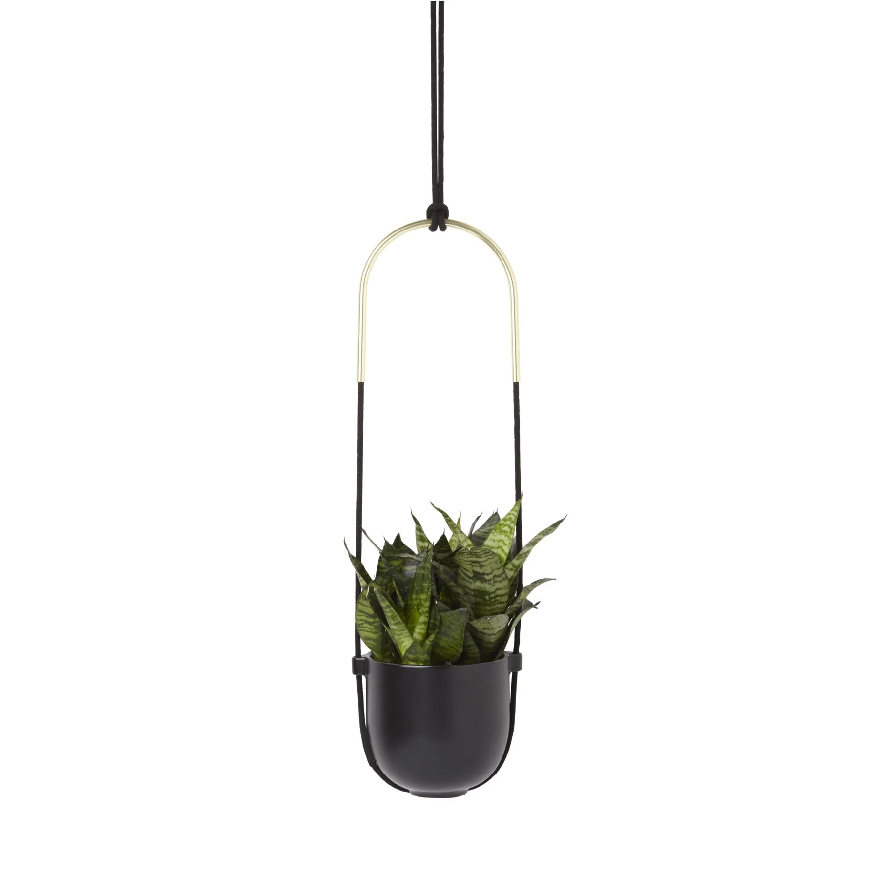 Umbra Bolo Indoor Hanging Planter - Image 2