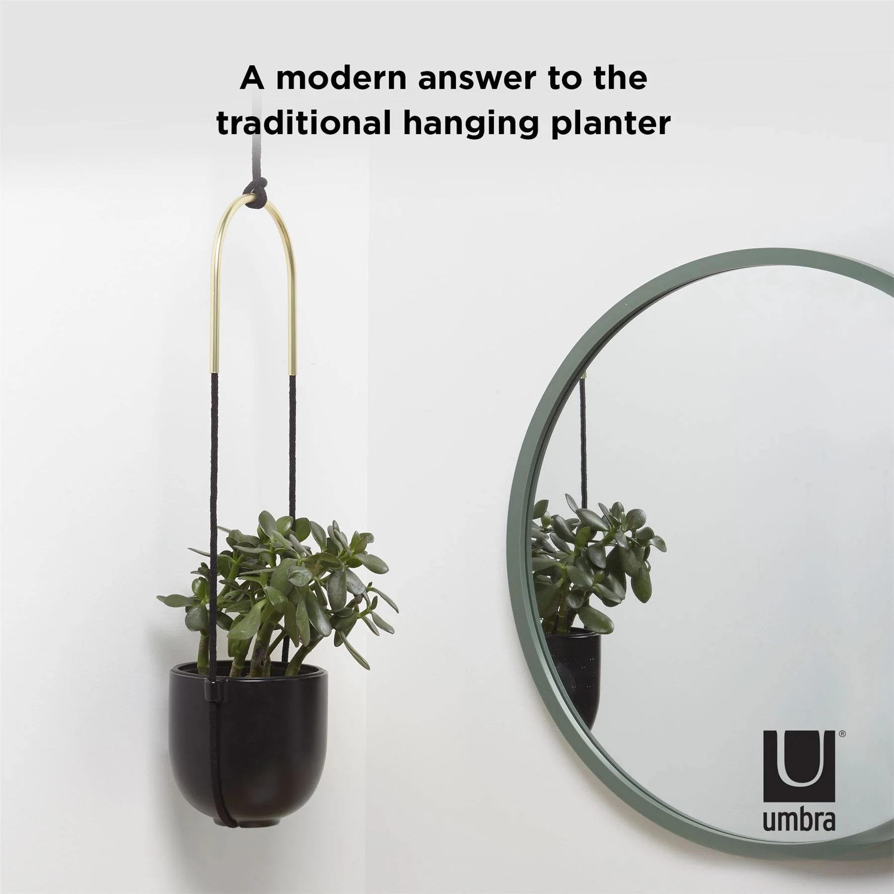 Umbra Bolo Indoor Hanging Planter - Image 7
