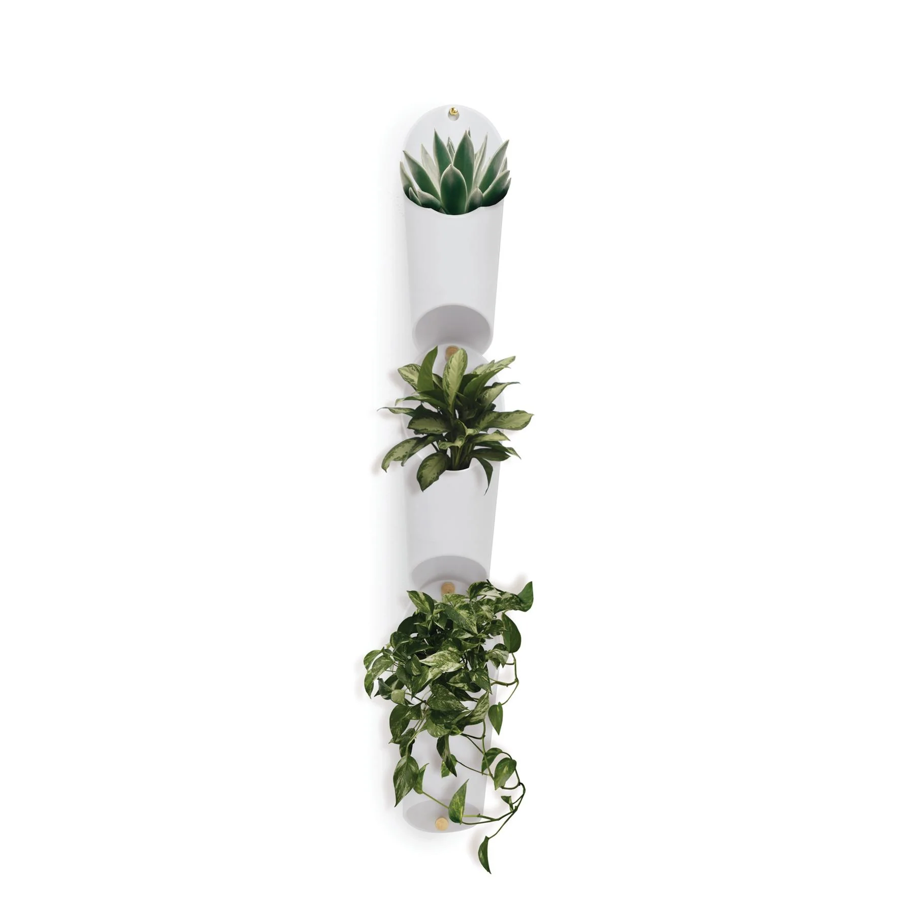 Umbra Floralink Three Wall Vessels - Image 6
