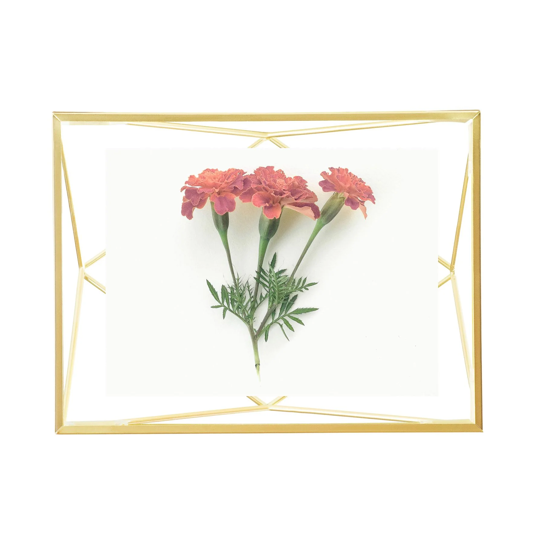 Umbra Prisma Photo Frame - Image 15