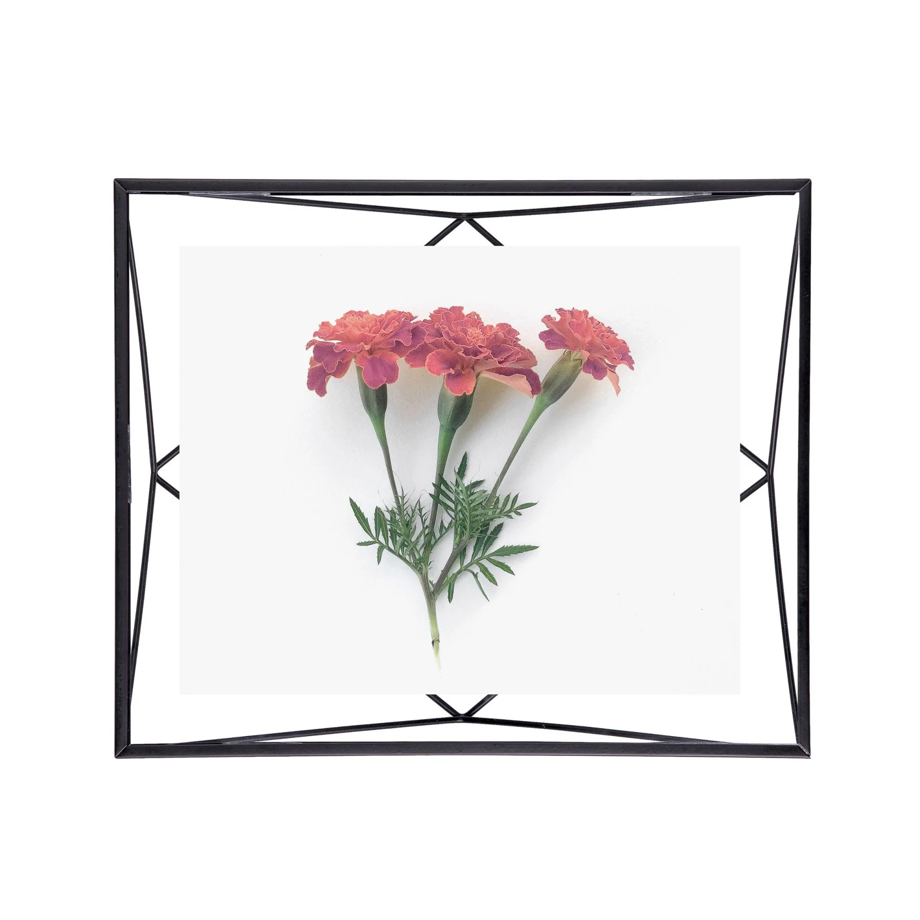 Umbra Prisma Photo Frame - Image 82