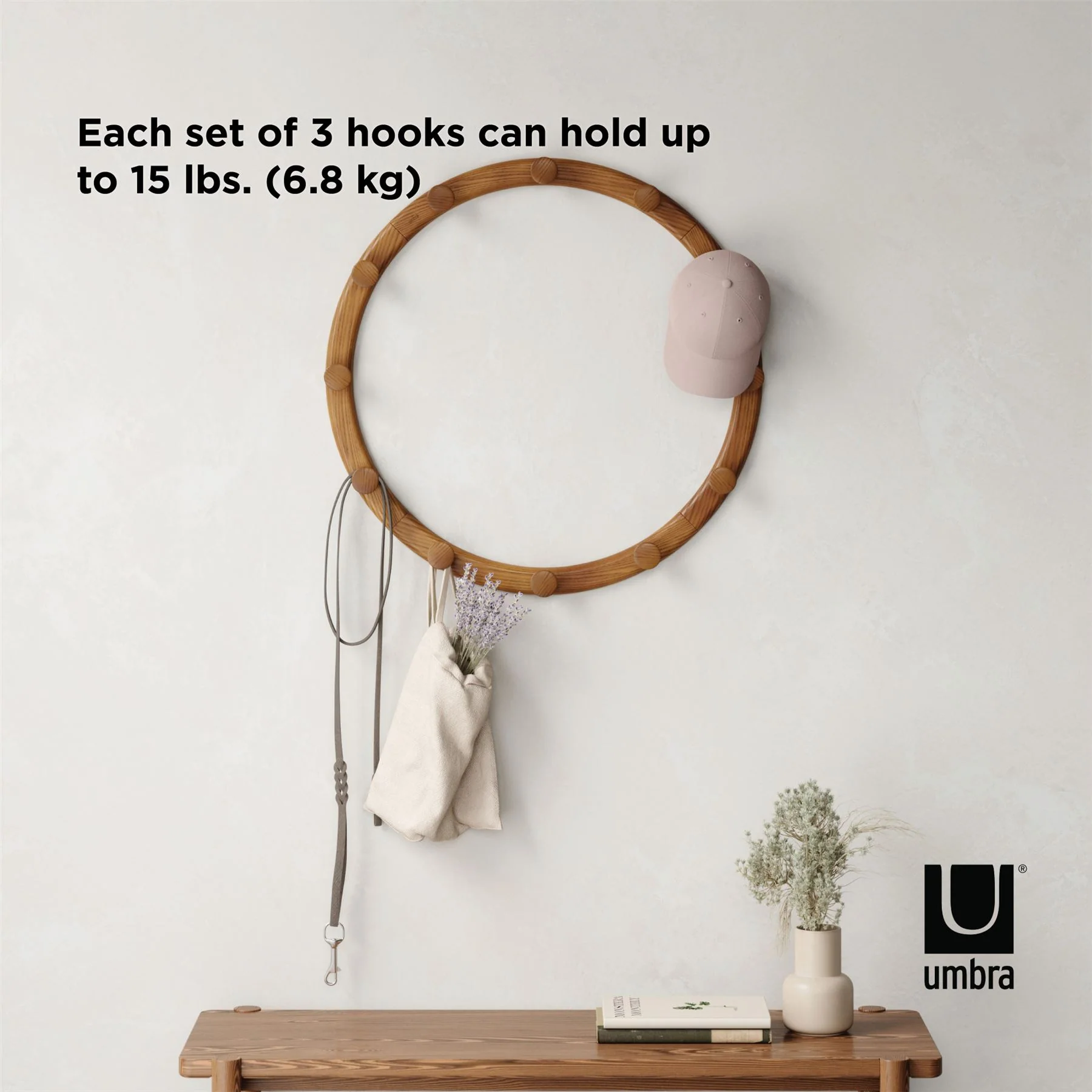 Umbra Slinka Wall Hooks Set of 4 - Image 16