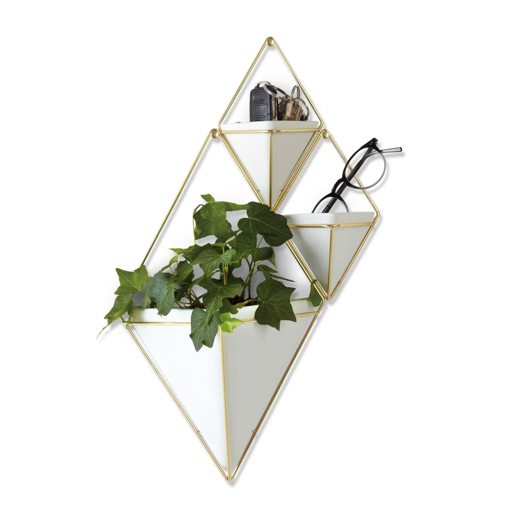 Umbra Trigg Wall Display Pots - Image 15