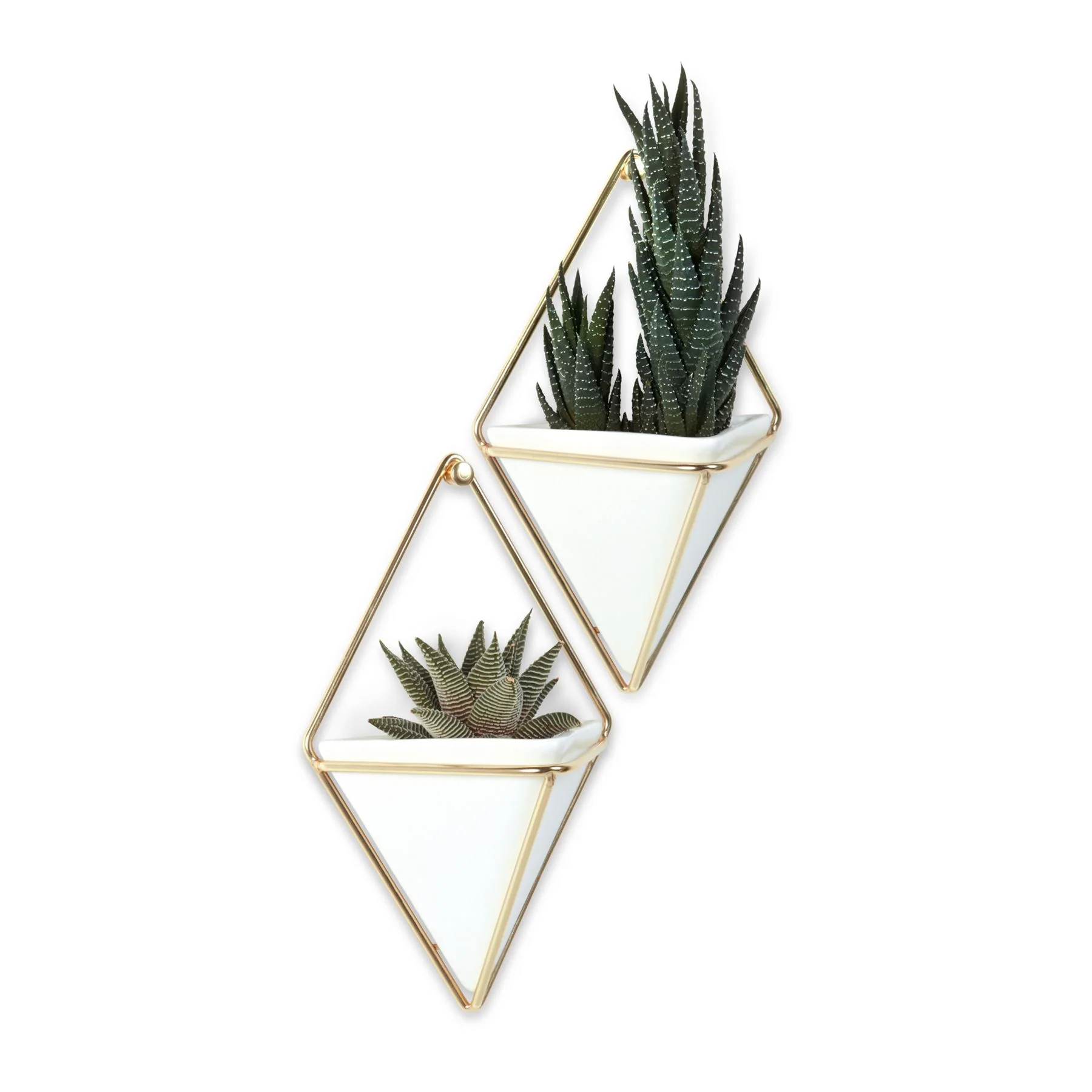 Umbra Trigg Wall Display Pots - Image 18