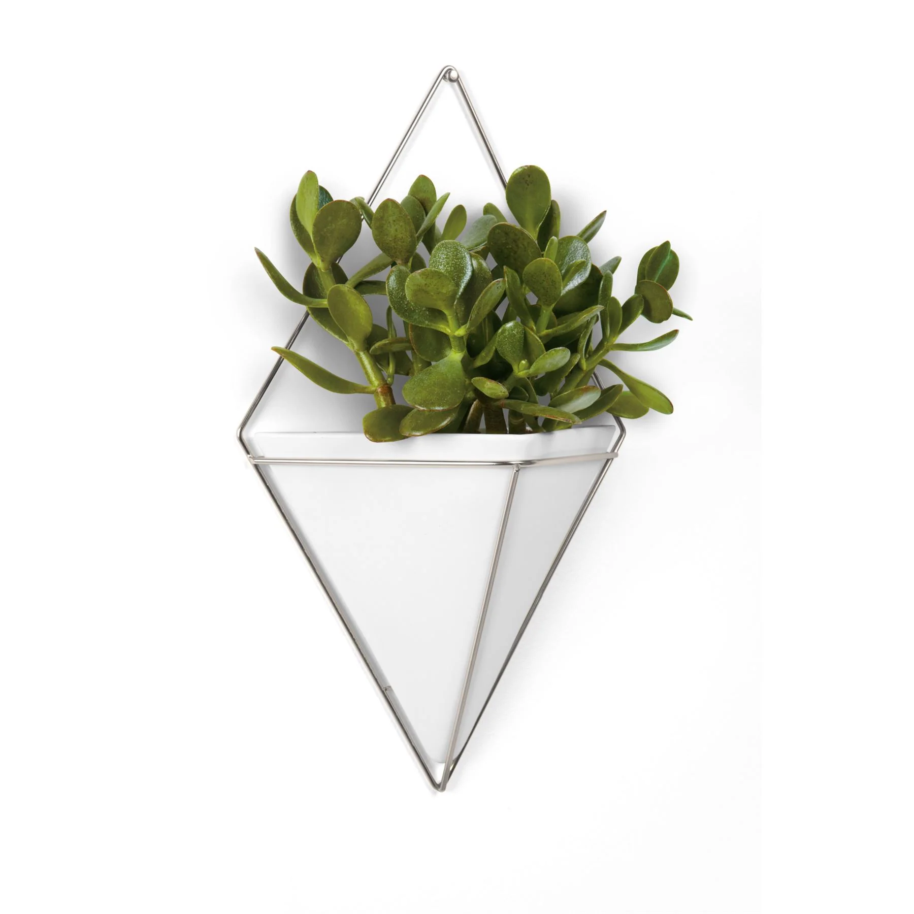 Umbra Trigg Wall Display Pots - Image 22