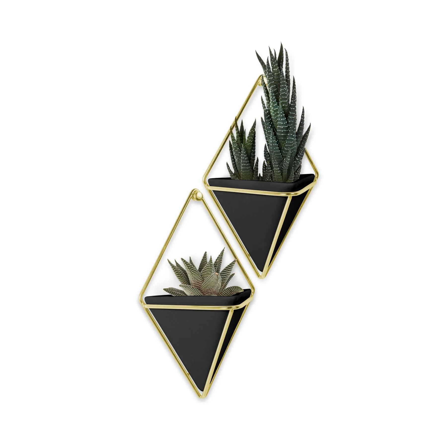 Umbra Trigg Wall Display Pots - Image 25